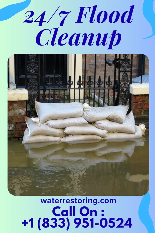 24/7 Flood Cleanup in Greenview, IL