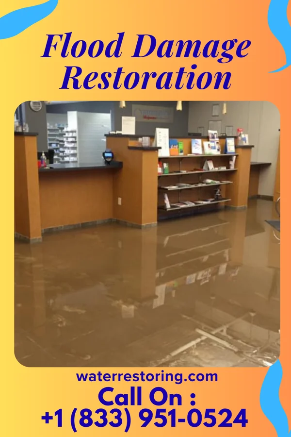 Flood Damage Restoration in Greenview, IL