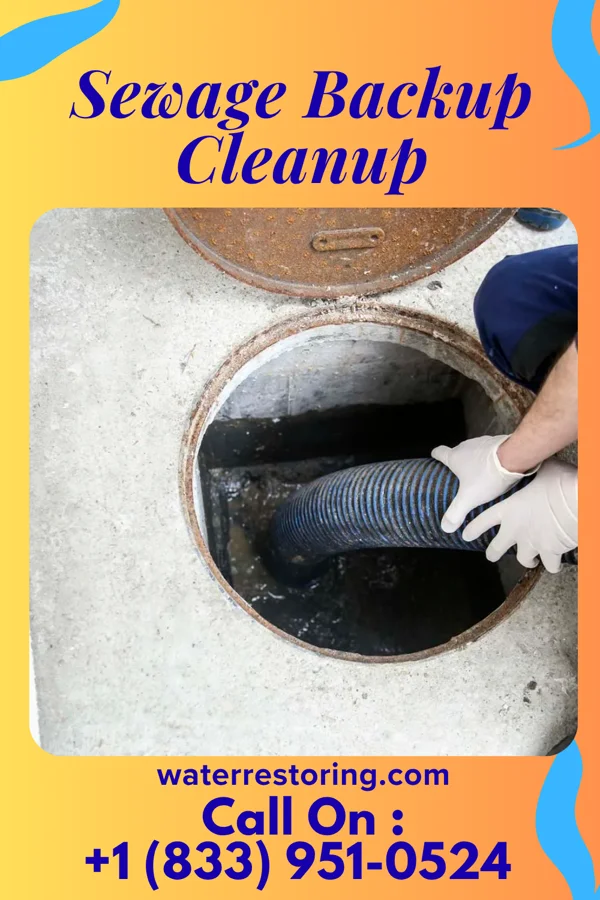 Sewage Backup Cleanup in Greenview, IL