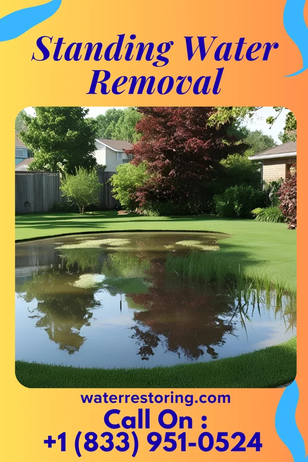 Standing Water Removal in Greenview, IL